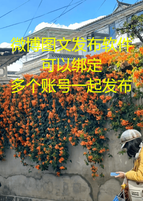 百家号图文发布：深度解析2023年网络内